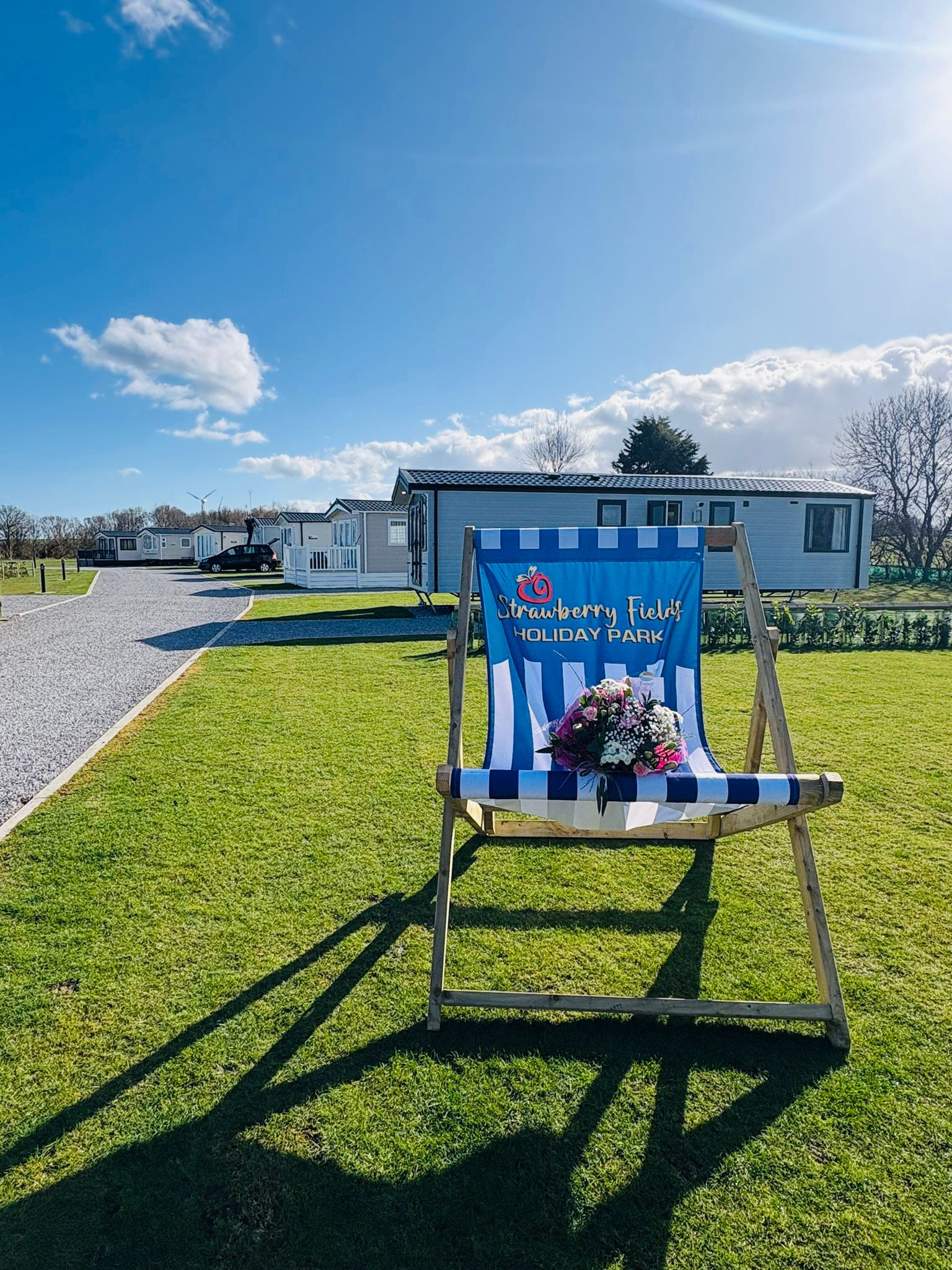 Deckchair Flowers